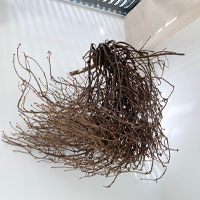 Barbara Claus ｜ L’atelier emprunté partagé avec Vida Simon et Karen Elaine Spencer